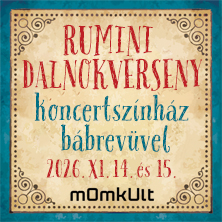 Rumini