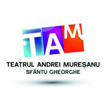 TEATRUL ANDREI MURESANU