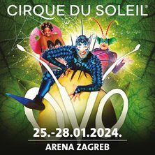 CIRQUE DU SOLEIL - OVO