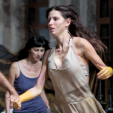 NEEDCOMPANY FESTIVAL