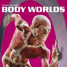 Body Worlds Vital - 04.-10.12.2023
